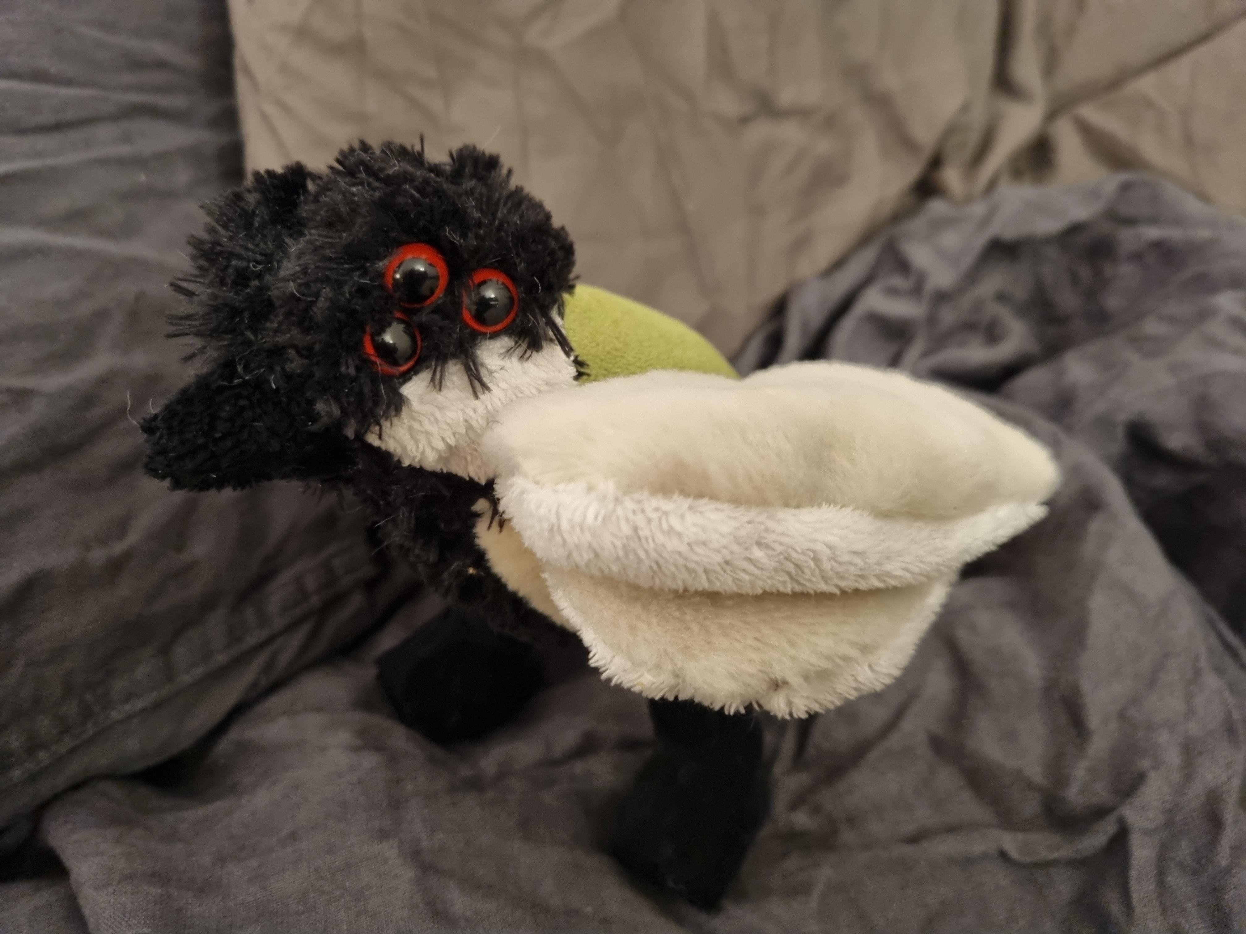 Photos of an awkwardly sewn together plush great tit, with six eyes and four wings.