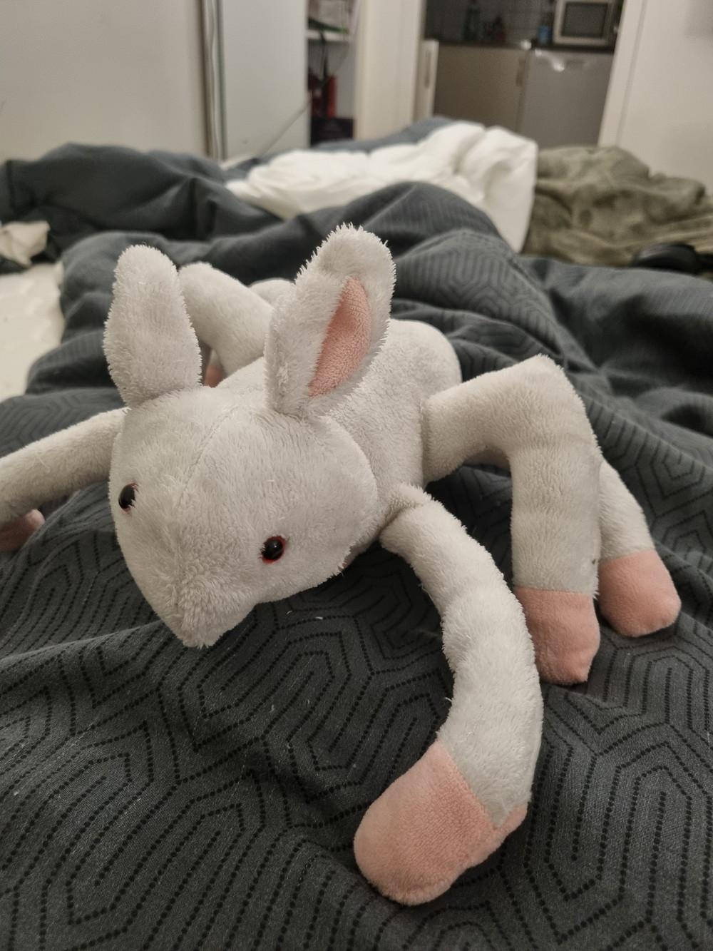 A white bunny plushie creature with six legs and no nose.