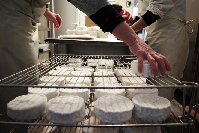Wheels of Camembert on shelves, with workers in the background.  From here:

https://news.cnrs.fr/articles/french-cheese-under-threat