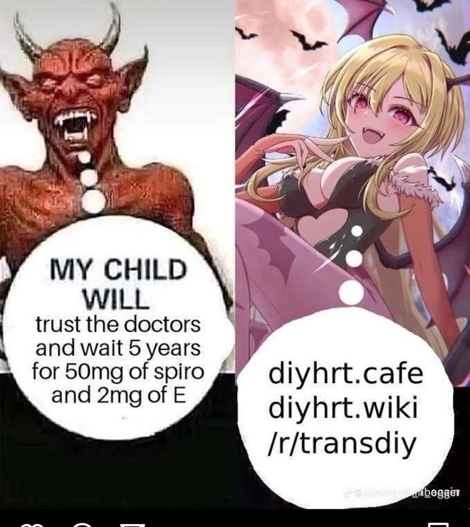 A meme. Left, the devil: my child will trust the doctors and wait 5 years for 50 mg of spiro amd 2mg of e. Right, a buxom anime batgirl: diyhrt.cafe, diyhrt.wiki, /r/transdiy