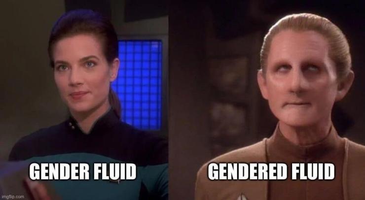 DS9 meme. Jadzia labeled "Gender Fluid," Odo labeled "Gendered Fluid"