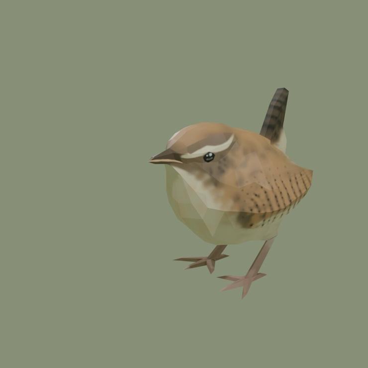  l'image
image d'un troglodyte mignon en image 3d, dont le plumage est peint, sur fond vert