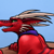 A Tiny Dragon :nite:'s avatar