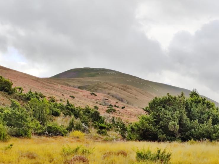 View up to Meallach Bheag from Glen Tromie 