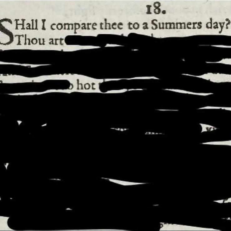 Shakespeare's sonnet 18 but the whole thing is crossed out except for "shall I compare thee to a summer's day? Thou art... hot"