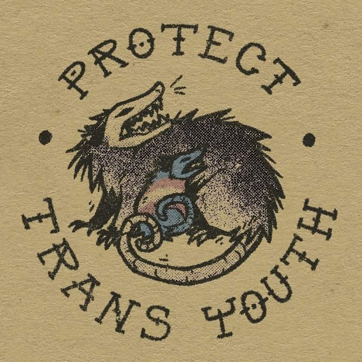 A sign or meme that has the picture of a mother possum protecting her baby that reads: Protect Trans Youth.