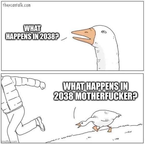 The “angry chasing goose meme” - a pair of comic panels from theycantalk.com. The top panel contains a goose head and face, with narrowed eyes appearing suspicious and asking “what happens in 2038”. The bottom panel contains a goose with head forward and down, aggressively chasing a person and asking “what happens in 2038 motherfucker?”