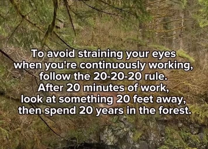 A picture of a forest with the text written on it: "To avoid straining your eyes when you're continuously working, follow the 20-20-20 rule. After 20 minutes of work, look at something 20 feet away, then spend 20 years in the forest."
