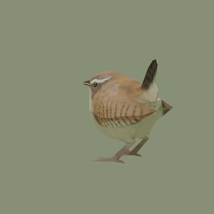  l'image
image d'un troglodyte mignon en image 3d, dont le plumage est peint, sur fond vert