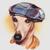 Plague Island Resistance's avatar
