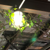 @causticmsngo@mastodon.social