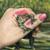 Frogberto's avatar